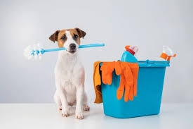 Pet-Friendly Cleaning: Keeping Your Home Clean with Pets